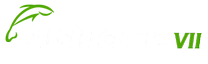 Sushi CharlesVii